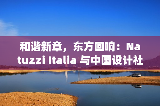 和谐新章，东方回响：Natuzzi Italia 与中国设计社群的深度对话(和谐hxn)