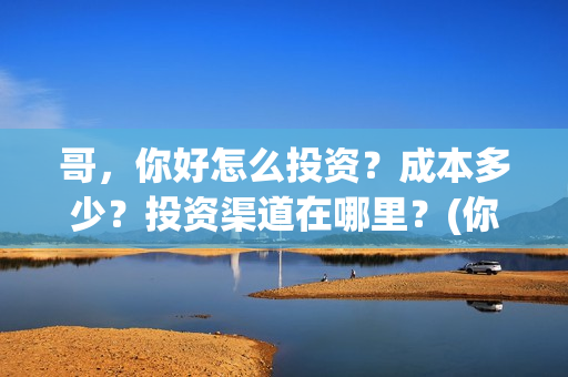 哥，你好怎么投资？成本多少？投资渠道在哪里？(你好哥哥表情包)