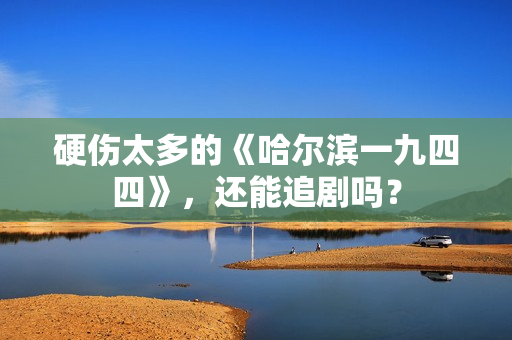 硬伤太多的《哈尔滨一九四四》，还能追剧吗？