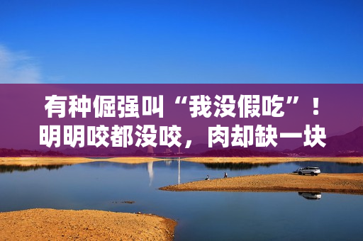 有种倔强叫“我没假吃”!明明咬都没咬,肉却缺一块,当观众瞎吗 有种倔强叫“我没假吃”!明明咬都没咬,肉却缺一块,当观众瞎吗