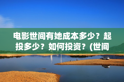 电影世间有她成本多少？起投多少？如何投资？(世间有她成本)