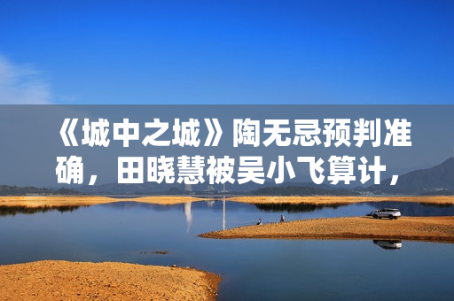 《城中之城》陶无忌预判准确，田晓慧被吴小飞算计，沈婧袖手旁观