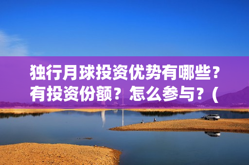 独行月球投资优势有哪些？有投资份额？怎么参与？(独行月球什么时候上映)