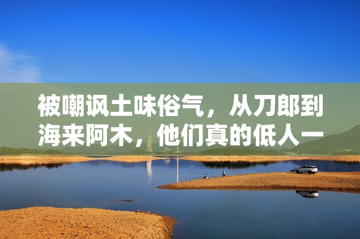 被嘲讽土味俗气，从刀郎到海来阿木，他们真的低人一等吗？