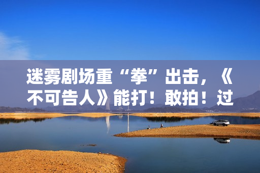 迷雾剧场重“拳”出击，《不可告人》能打！敢拍！过瘾！