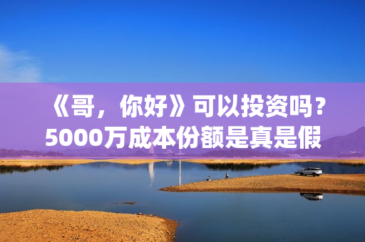 《哥，你好》可以投资吗？5000万成本份额是真是假？(你好哥哥表情包)