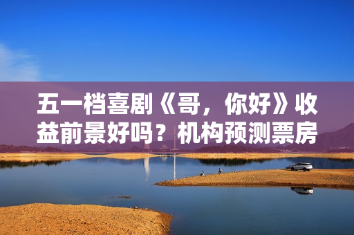五一档喜剧《哥，你好》收益前景好吗？机构预测票房多少？怎么投资？