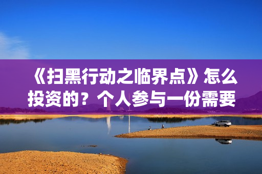 《扫黑行动之临界点》怎么投资的？个人参与一份需要多少成本？定档了吗？(扫黑行动第一集)