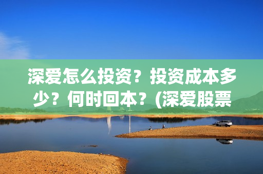 深爱怎么投资？投资成本多少？何时回本？(深爱股票833378)