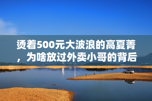 烫着500元大波浪的高夏菁，为啥放过外卖小哥的背后全是算计？