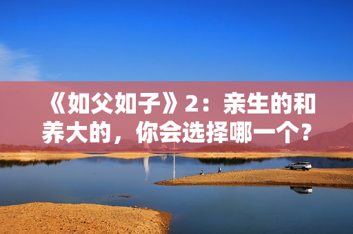 《如父如子》2：亲生的和养大的，你会选择哪一个？