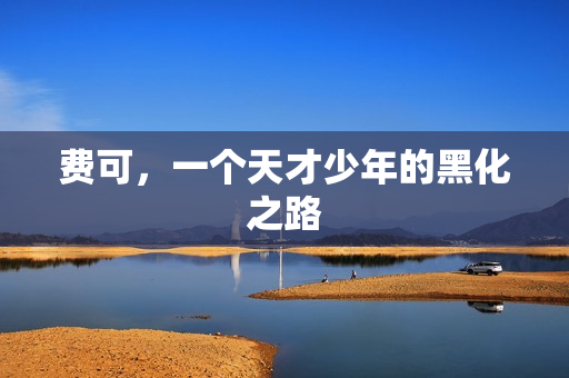 费可，一个天才少年的黑化之路