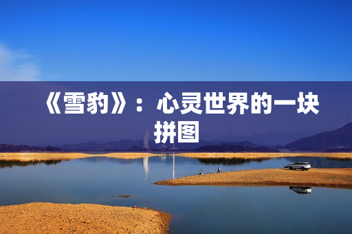 《雪豹》：心灵世界的一块拼图