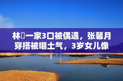 林峯一家3口被偶遇,张馨月穿搭被嘲土气,3岁女儿像爸爸 林峯一家3口被偶遇,张馨月穿搭被嘲土气,3岁女儿像爸爸