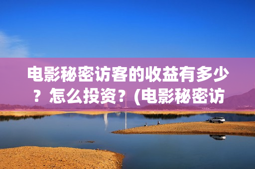 电影秘密访客的收益有多少？怎么投资？(电影秘密访客的内容)