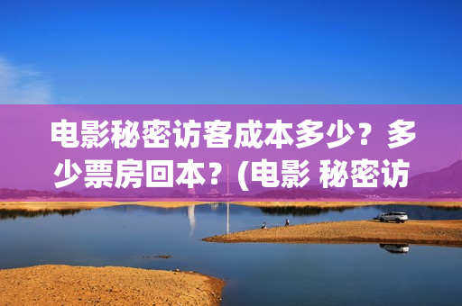 电影秘密访客成本多少？多少票房回本？(电影 秘密访客)
