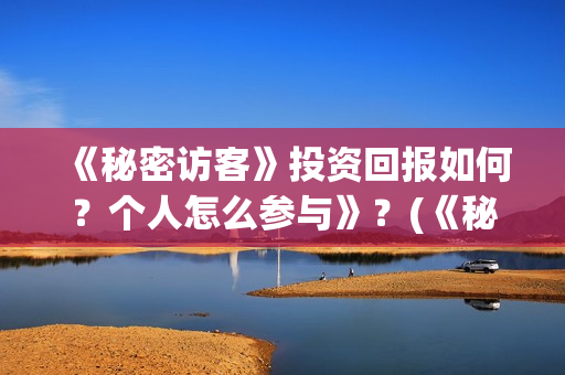 《秘密访客》投资回报如何？个人怎么参与》？(《秘密访客》剧情)