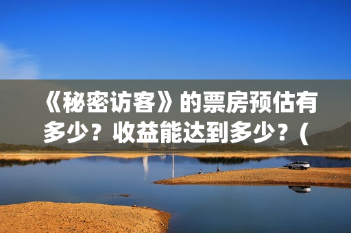 《秘密访客》的票房预估有多少？收益能达到多少？(秘密访客演的什么玩意)