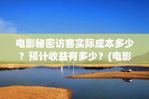 电影秘密访客实际成本多少？预计收益有多少？(电影秘密访客的真相)