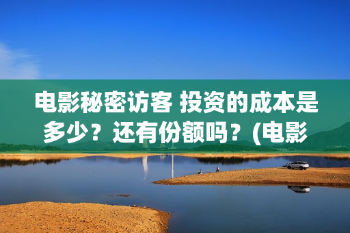 电影秘密访客 投资的成本是多少？还有份额吗？(电影秘密访客故事简介)