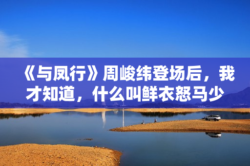 《与凤行》周峻纬登场后，我才知道，什么叫鲜衣怒马少年郎