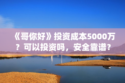《哥你好》投资成本5000万？可以投资吗，安全靠谱？(《哥你好》投资多少钱)