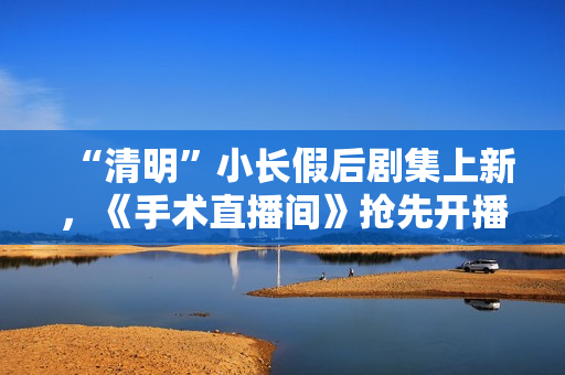 “清明”小长假后剧集上新，《手术直播间》抢先开播