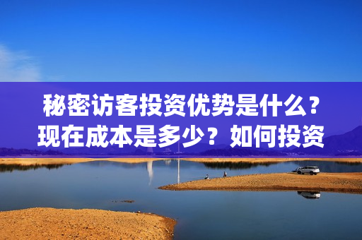 秘密访客投资优势是什么？现在成本是多少？如何投资？(秘密访客成本)