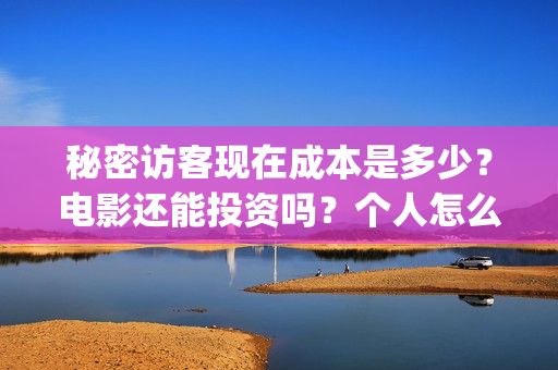 秘密访客现在成本是多少？电影还能投资吗？个人怎么参与？(秘密访客好吓人)