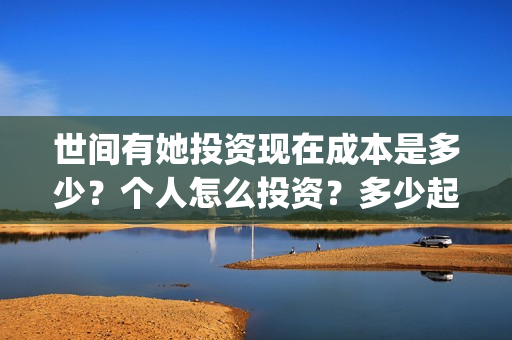 世间有她投资现在成本是多少？个人怎么投资？多少起投？(世间有她出品公司)