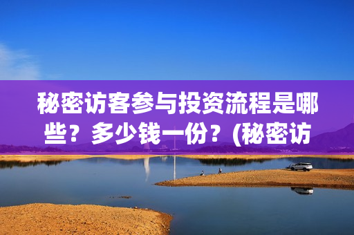 秘密访客参与投资流程是哪些？多少钱一份？(秘密访客参与公司)