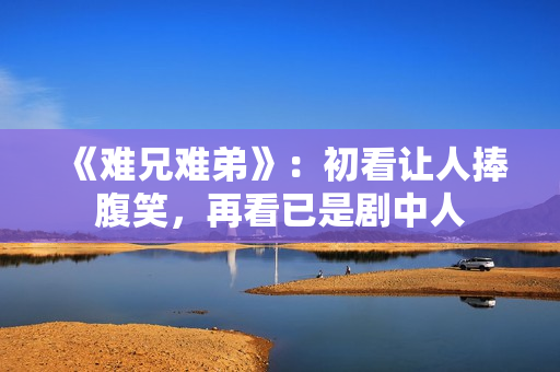 《难兄难弟》：初看让人捧腹笑，再看已是剧中人