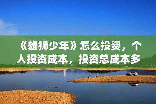《雄狮少年》怎么投资，个人投资成本，投资总成本多少？(雄狮少年预告)
