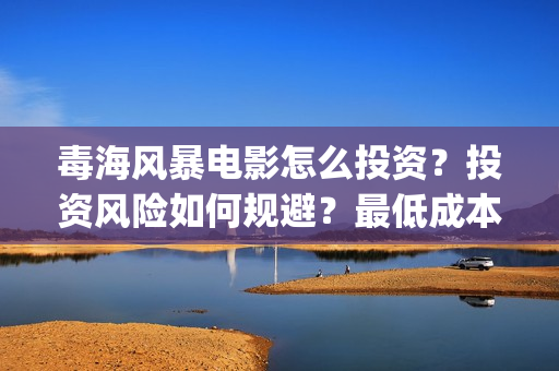 毒海风暴电影怎么投资？投资风险如何规避？最低成本多少？(毒海风暴上映时间)