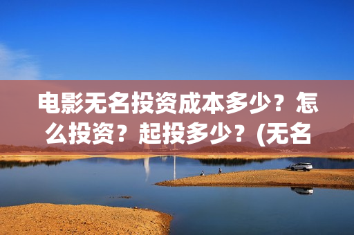 电影无名投资成本多少？怎么投资？起投多少？(无名电影演员)