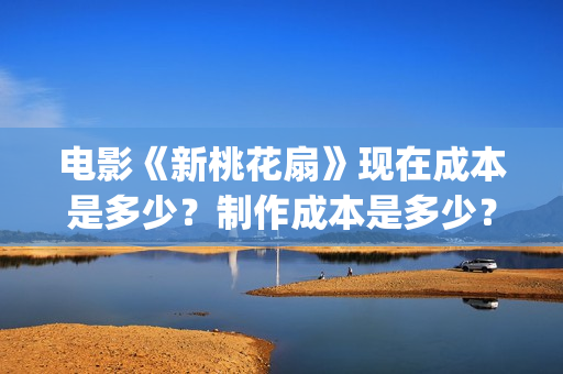 电影《新桃花扇》现在成本是多少？制作成本是多少？个人怎么投资？(新桃花扇电影上映了吗)