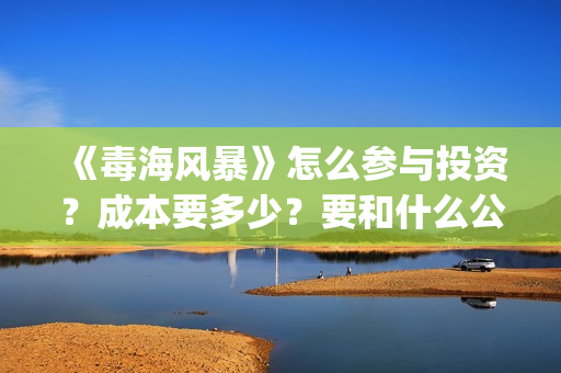 《毒海风暴》怎么参与投资？成本要多少？要和什么公司签？(毒海风暴成本)