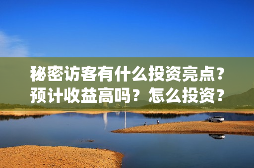 秘密访客有什么投资亮点？预计收益高吗？怎么投资？(秘密访客有什么好看的)