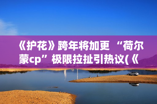 《护花》跨年将加更 “荷尔蒙cp”极限拉扯引热议(《护花使者》演唱视频)