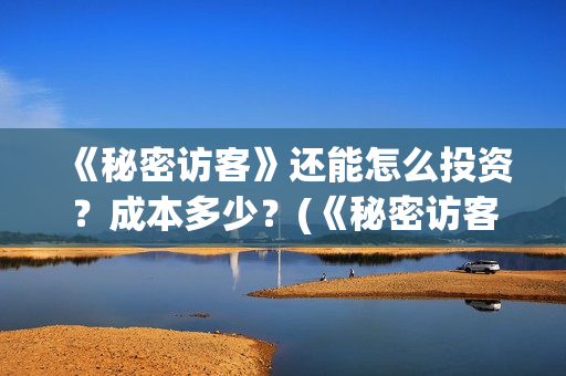 《秘密访客》还能怎么投资？成本多少？(《秘密访客》看不懂)