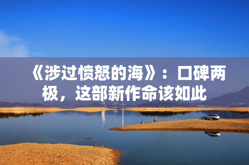 《涉过愤怒的海》:口碑两极,这部新作命该如此 《涉过愤怒的海》:口碑两极,这部新作命该如此