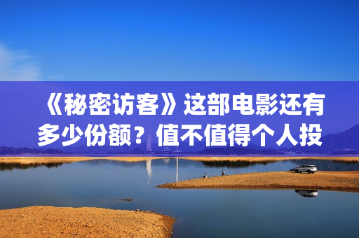 《秘密访客》这部电影还有多少份额？值不值得个人投资？(《秘密访客》有哪些细思极恐的细节?)