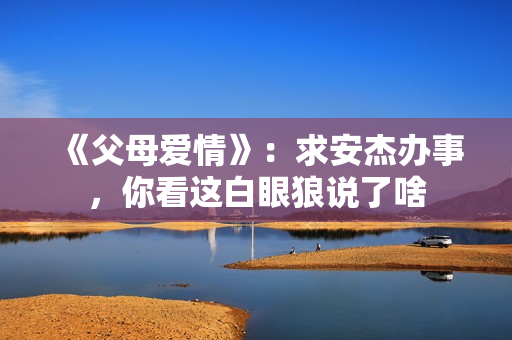 《父母爱情》：求安杰办事，你看这白眼狼说了啥