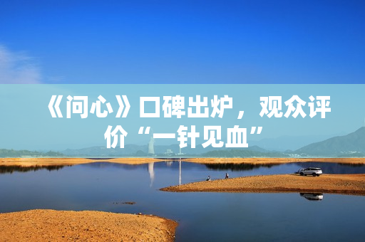 《问心》口碑出炉，观众评价“一针见血”