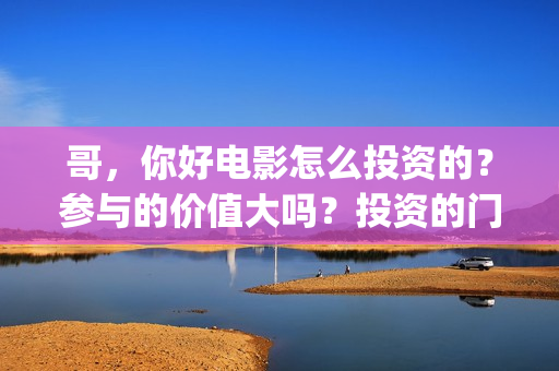 哥，你好电影怎么投资的？参与的价值大吗？投资的门槛是多少(鹩哥你好录音教材)