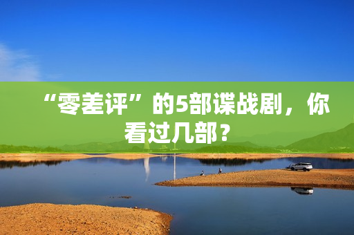 “零差评”的5部谍战剧，你看过几部？