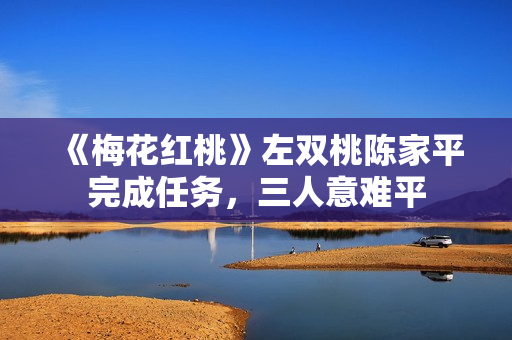 《梅花红桃》左双桃陈家平完成任务，三人意难平
