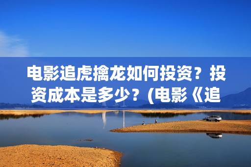 电影追虎擒龙如何投资？投资成本是多少？(电影《追虎擒龙》)