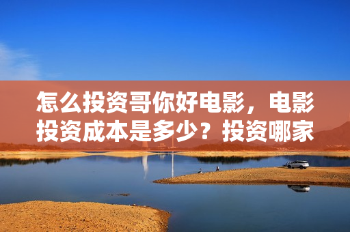 怎么投资哥你好电影，电影投资成本是多少？投资哪家出品方的份额？