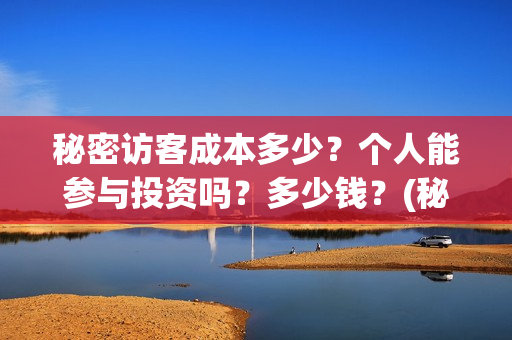 秘密访客成本多少？个人能参与投资吗？多少钱？(秘密访客总投资多少)